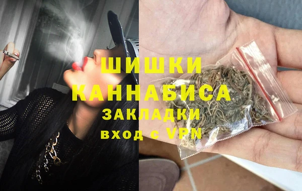 мдпв Елабуга