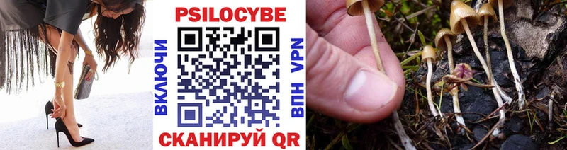 Псилоцибиновые грибы Psilocybine cubensis  Ростов 